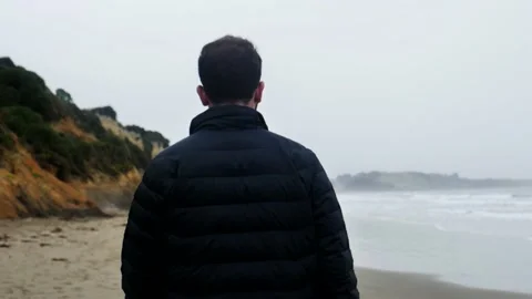 Rear View Of Man Walking At Beach Stock Footage 133464234