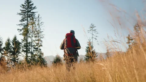 Rear view man walking on grassy meadow, mountain peaks lit with sunrise light Video stock 282446449