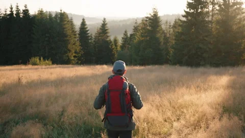 Rear view man walking grassy meadow overlooking mountain peaks in sunrise light 스톡 동영상 283496427