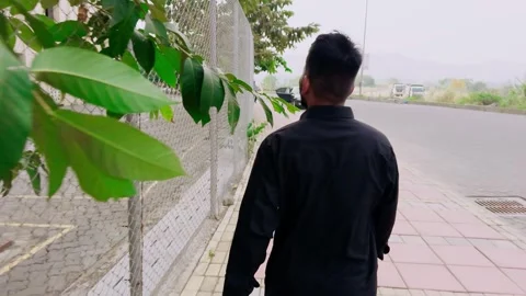Rear view of a man walking on a sidewalk with trees reaching out to a fence.. Stock Footage 262248353