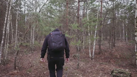 Rear view of a man walking through a young forest Stock Footage 231714736