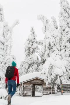 Rear view of man walking towards log cabin in forest with snow-covered trees. Stock Photos