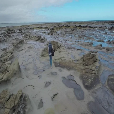 Rear view of man walking in wet coastal area Stock Footage 69492827