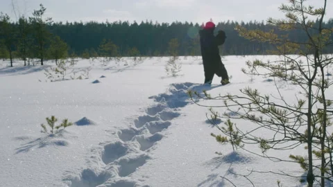 Rear view of man in warm jacket standing and looking at the trees and grey Stock Footage 149210905