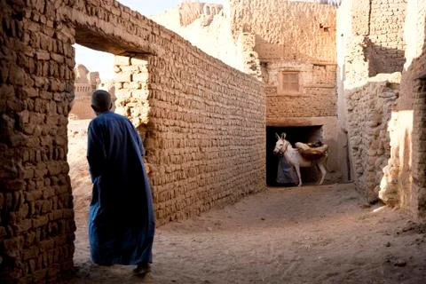Rear view of man wearing caftan walking through wall doorway, donkey in Stock Photos