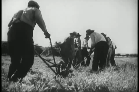 Rear view of men plowing field Video stock 11350994