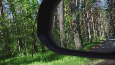 In the rear-view mirror of the car reflects the forest. Rides a car through the Stock Footage