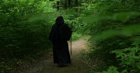 Rear view of a monk making a walking pilgrimage through a forest landscape in a  Stock Footage 336694299