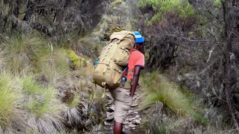 Rear view of a mountain guide carrying a large heavy backpack while hiking on a Stock Footage 334376397