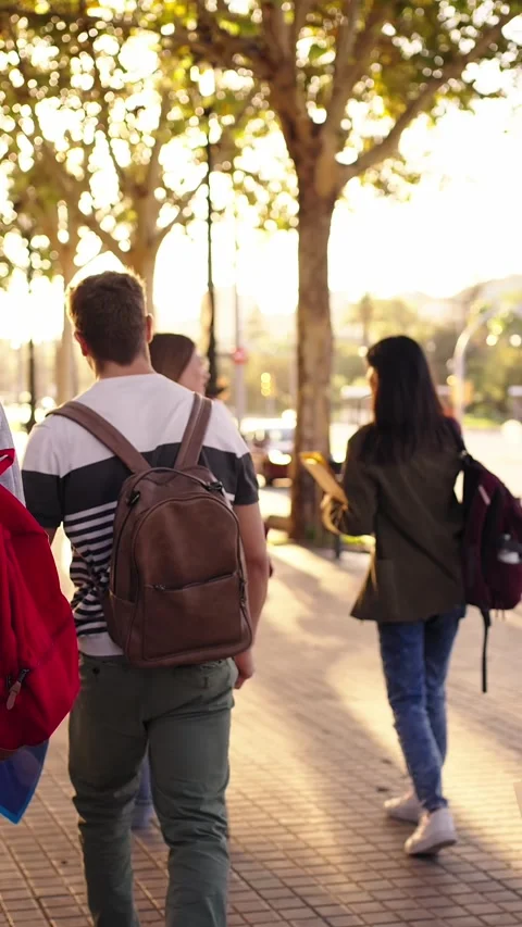 Rear view of multi-ethnic young friend secondary school pupils with backpacks Stock Footage 272835211