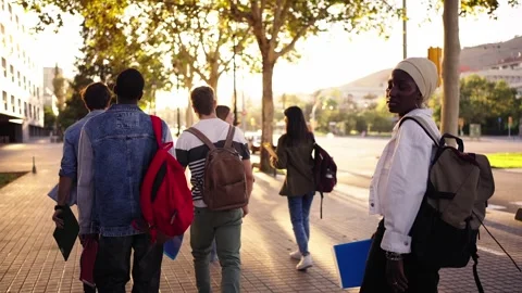 Rear view of multi-ethnic young friend secondary school pupils with backpacks Stock Footage 273630439