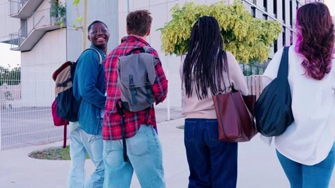 Rear view Multicultural Group of Students Walking Together on Campus Stock Footage 294354603