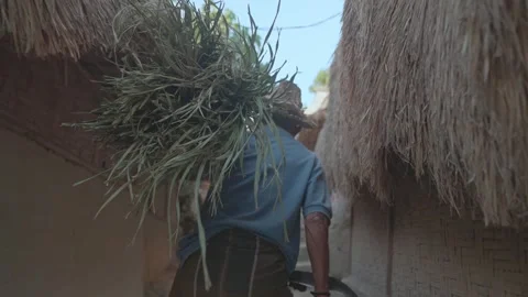 Rear View of Old Farmer Walking Between Thatched Roof Houses Desa Sade Lombok Video stock 333737441