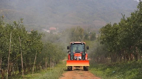 A rear view of an orchard sprayer applying agrochemicals. Stock-Footage 87154443