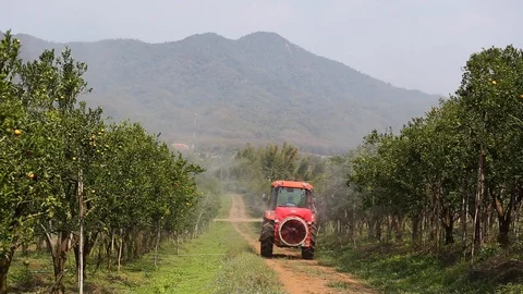 A rear view of an orchard sprayer applying agrochemicals. Stock-Footage 87154549