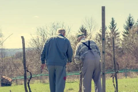 Rear view of pair of men doing work in vineyard. Stock Photos