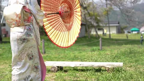 Rear view of a patterned kimono and paper parasol Stock Footage 344801619