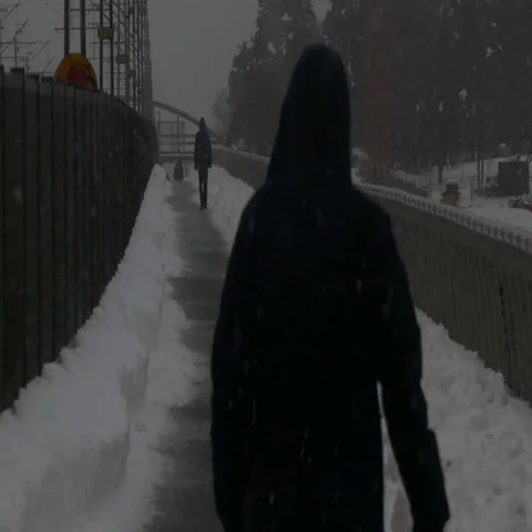 Rear view of people walking under a very heavy snow in bad weather condition Stock Footage 69558545