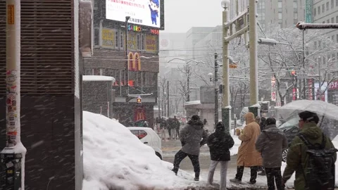 Rear view of people in winter clothes waiting at traffic light in Hokkaido Stock-Footage 330176733