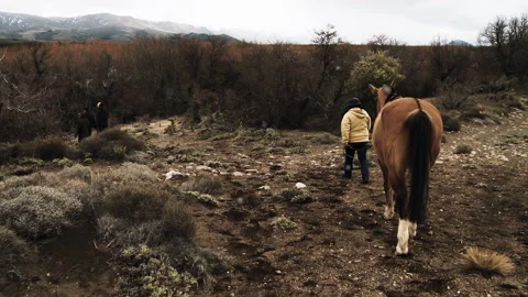 Rear View of Person Leading Horse Walking Through Patagonian Landscape - 4K Stock Footage 340634553