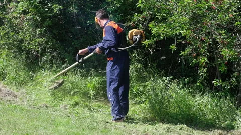 Rear view of professional gardener. Stock-Footage 280482437