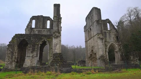 Rear view of Roche Abbey Stock Footage 321474443