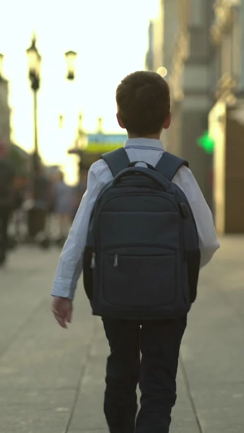 Rear view of schoolboy carrying backpack along urban sidewalk toward school Stock Footage 341708511