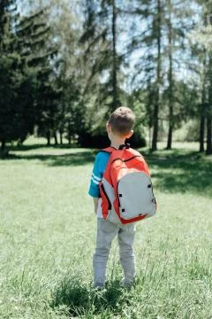 Rear view of a schoolboy carrying a schoolbag Stock Photos