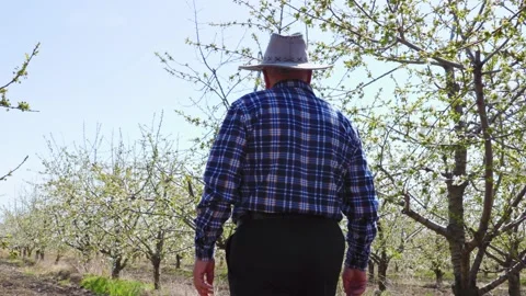 Rear view of senior farmer worker goes home after Stock Footage 182052963
