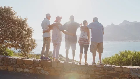 Rear View Of Senior Friends Visiting Tourist Landmark On Group Vacation Looking Stock Footage