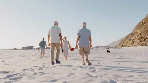 Rear View Of Senior Friends Walking Along Sandy Beach On Summer Group Vacation Stock Footage