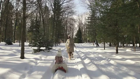 Rear view.. Slow motion. Mom rides a child on a sled. Winter forest Stock Footage 154209302