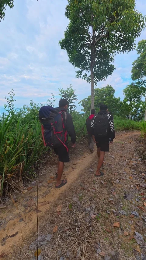Rear view of three men with backpacks walking on the trail. Video stock 300025937