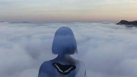 Rear view of the translucent silhouette of a young woman with a butterfly on the Stock Footage 238536036
