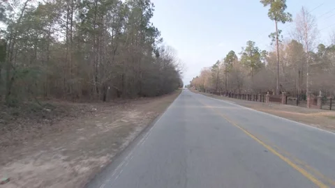 Rear view of trash and waste on the side of the road and a dead deer Stock Footage 149334016