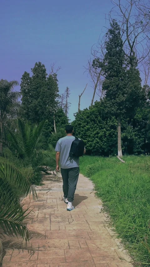 Rear View Traveler With Backpack Walking In Green Park Morocco Видео 339427187