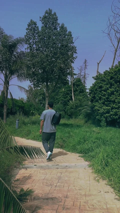 Rear View Traveler With Backpack Walking In Green Park Morocco Stock Footage 339427427