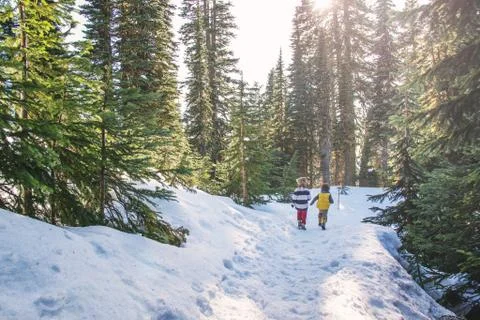 Rear View Of Two Boys Walking On Snow Covered path Stock Photos