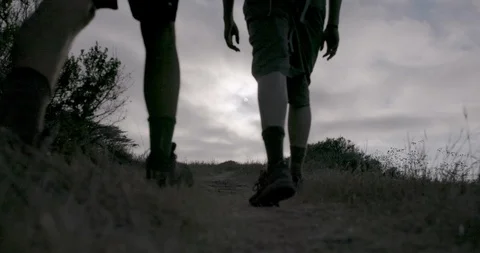 Rear view of two hikers walking on the forest train at dusk Stock Footage 145276451