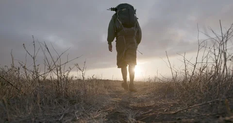 Rear view of two hikers walking on the landscape at sunset Stock Footage 145276731