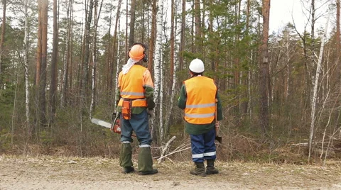 Rear view, two lumberjack looking at the forest Stock Footage 64754594