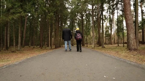 Rear view of two people walking along a paved trail surrounded by tall ever.. Stock Footage 309987449
