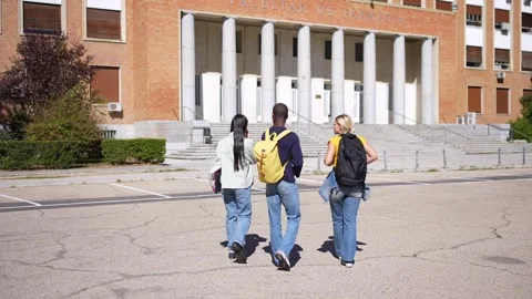 Rear view of university students arriving at the campus Stock Footage 299699325