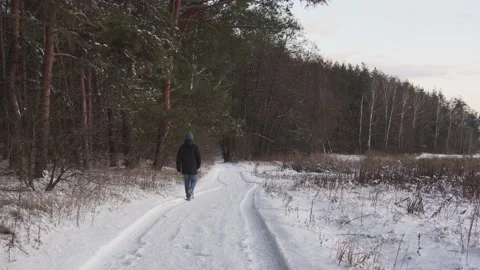 Rear view of walking man in winter woods. Single hiking at the edge of forest Stock Footage 147617098