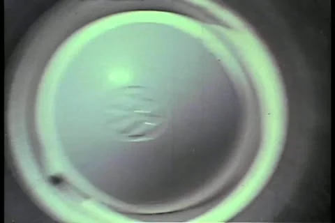 Rear view white van driving down road Video stock 11348689
