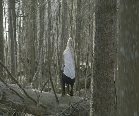 Rear view of woman getting up while touching the tree trunk in the forest Stock Footage 110363277