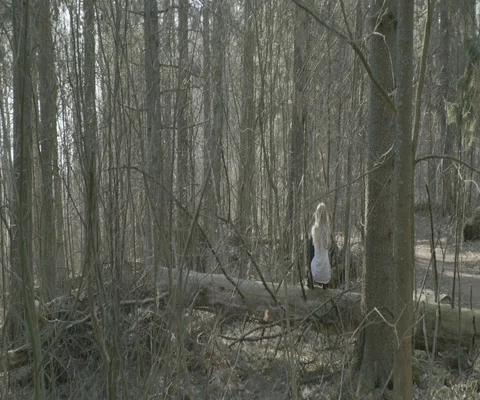 Rear view of woman getting up while touching the tree trunk in the forest Stock Footage 110363952