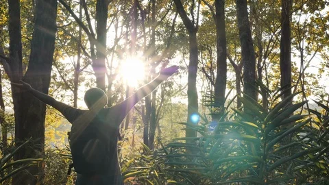 Rear view of Young asian man walk exploring the tropical forest Stock Footage 124691747