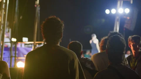 Rear view of young man cheering near stage at vibrant night concert show Stock Footage 320129724