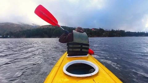 Rear view of a young man paddling a kayak on a lake surrounded by forest Stock Footage 320057005
